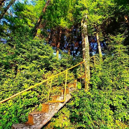 Kuca Za Odmor "Livadica" Villa Netretic Exterior foto