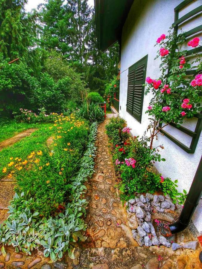Kuca Za Odmor "Livadica" Villa Netretic Exterior foto