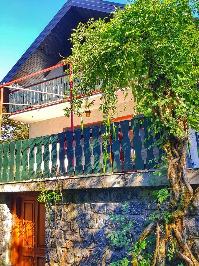 Kuca Za Odmor "Livadica" Villa Netretic Exterior foto