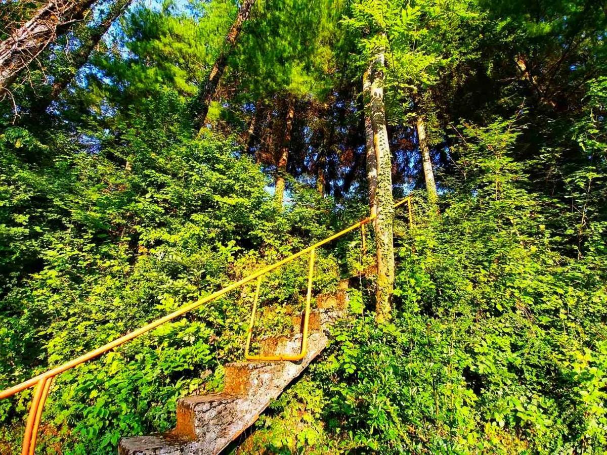 Kuca Za Odmor "Livadica" Villa Netretic Exterior foto
