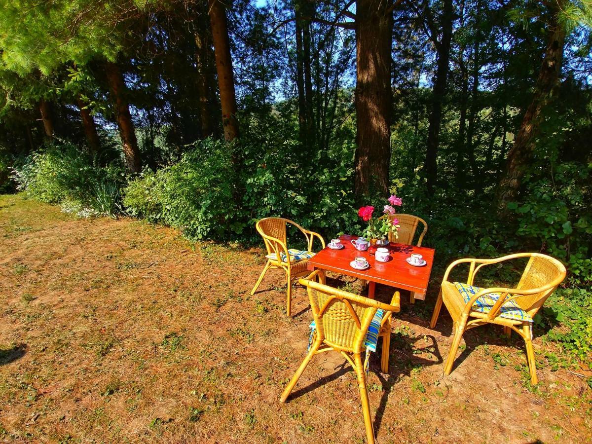 Kuca Za Odmor "Livadica" Villa Netretic Exterior foto